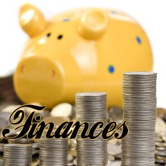 Run Your Finances Online [Organization #3]